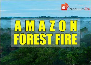 amazon rainforest fire 2019 pendulumedu