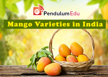 Different varieties of mango in India