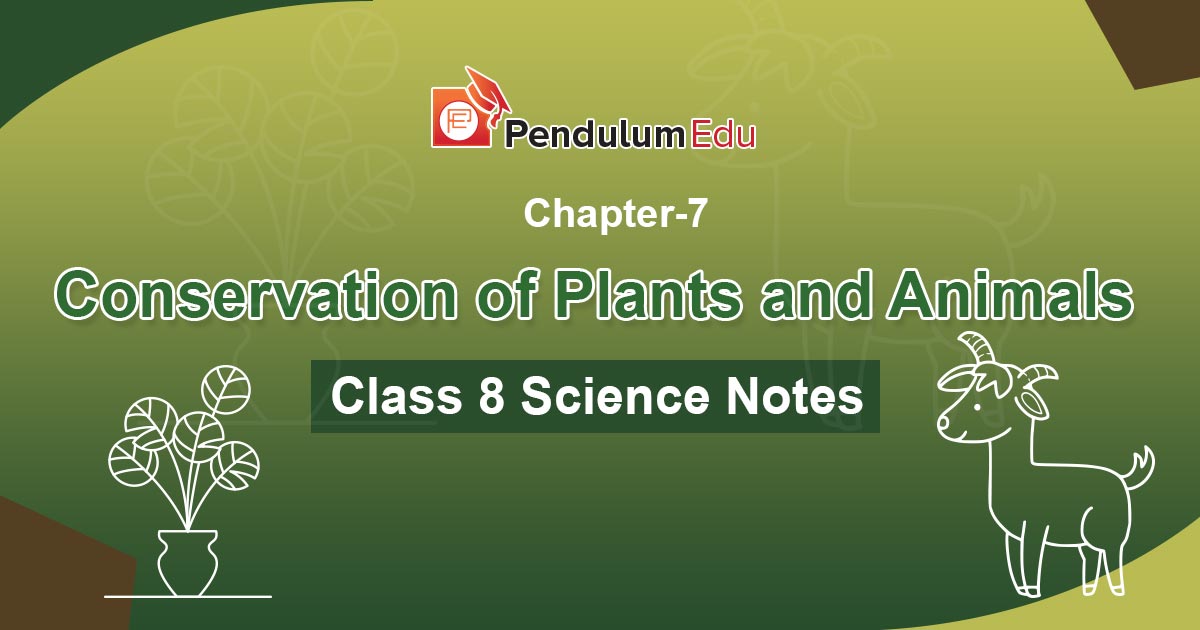 NCERT Class 8 Science Chapter 7 Notes