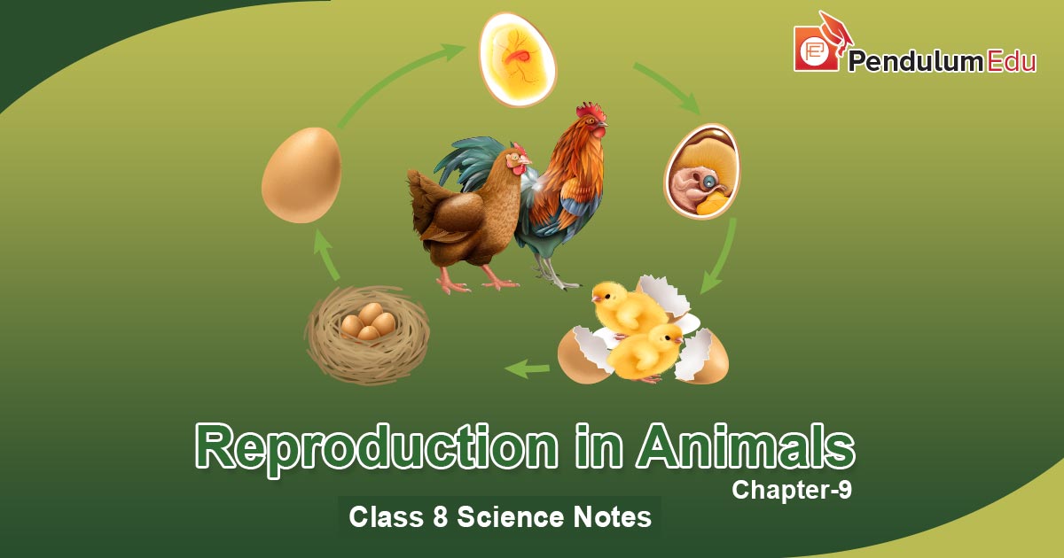 NCERT Class 8 Science Chapter 9 Notes