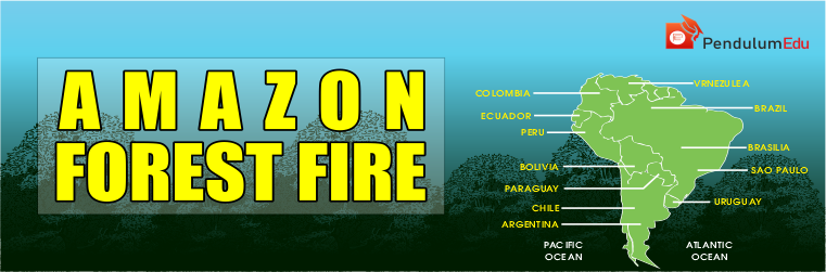 amazon-rain forest-fire-2019-pendulumedu