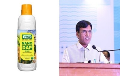 Nano liquid DAP fertilizer