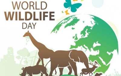 World Wildlife Day 2024
