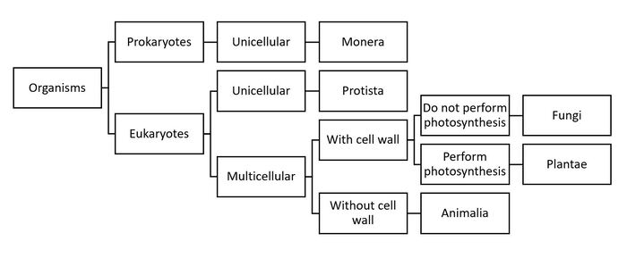 Five Kingdom Classification of Organisms by Whittaker