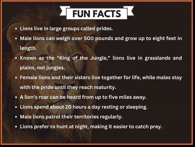 Facts about Lion