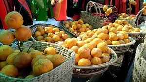 Kachai Lemon Festival started on 13 January
