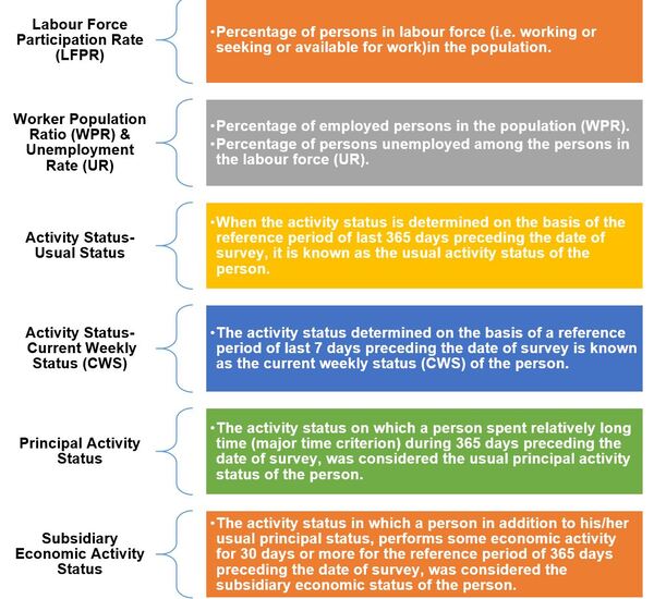 Periodic Labour Force Survey