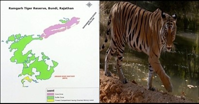Ramgarh Vishdhari becomes fourth tiger reserve of Rajasthan