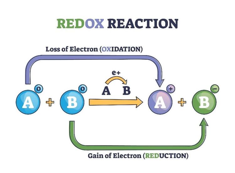 Oxidation And Reduction Redox Reactions Definitions Examples 2022 