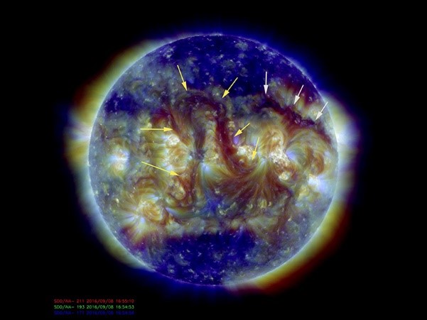 Two long filaments observed on Sun