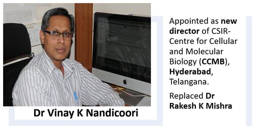 Dr Vinay K Nandicoori