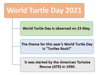 World turtle Day