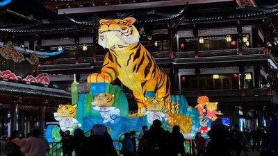 Spring Festival to welcome the new Year of the Tiger